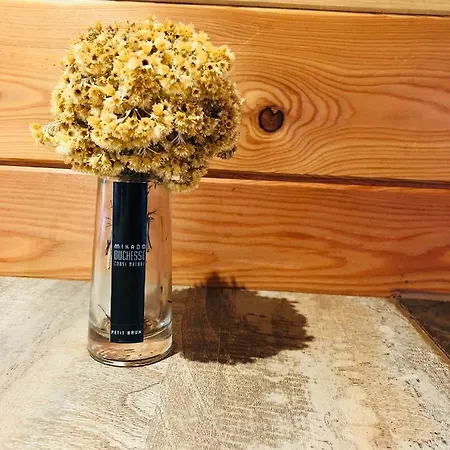 A Casetta Alpstuga *