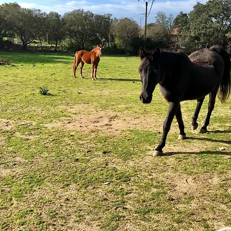 A Casetta * Pianottoli-Caldarello (Corsica)