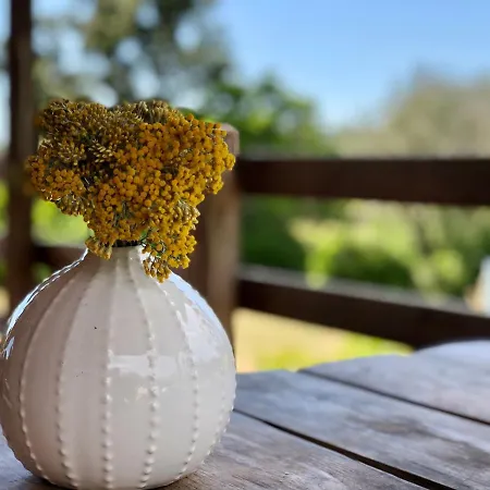 A Casetta Alpstuga Pianottoli-Caldarello (Corsica)