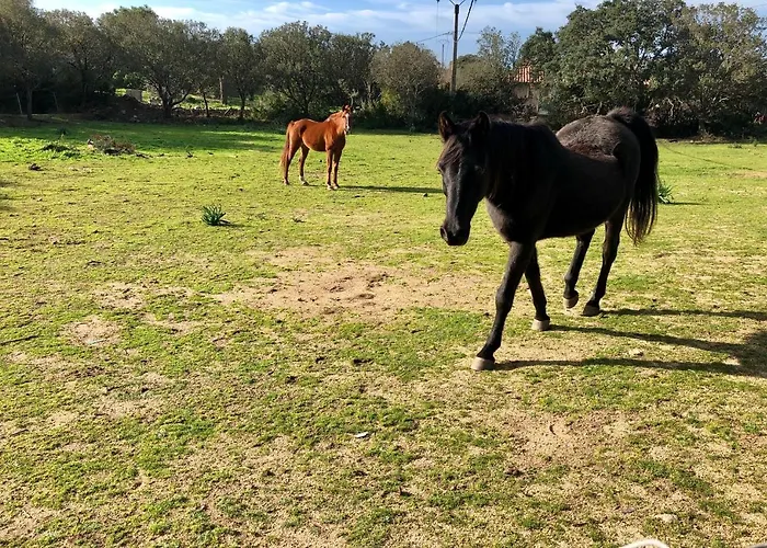 A Casetta * Pianottoli-Caldarello (Corsica)